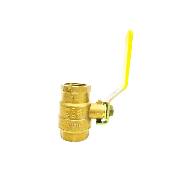 WATTS LFFBV-3C 1/2PSI 1" NSNP
