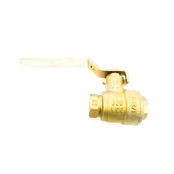WATTS LFFBV-3C 3/8" 1/2PSI NSNP