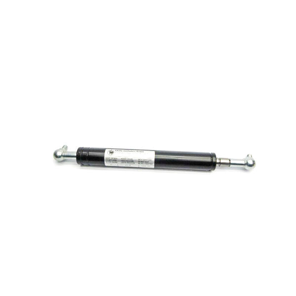 HAHN-GASFEDERN 1068309 NSNP
