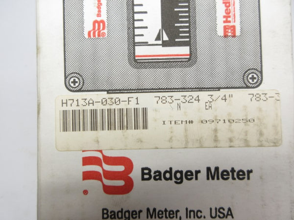 BADGER METER H713A-030-F1 NSMP