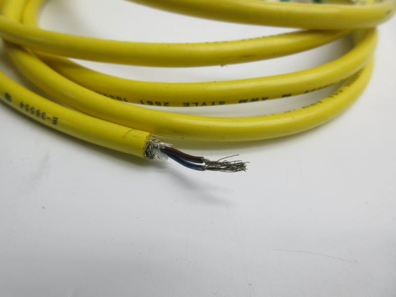 DANIEL WOODHEAD 702000D02F060 250V 4A NSNP