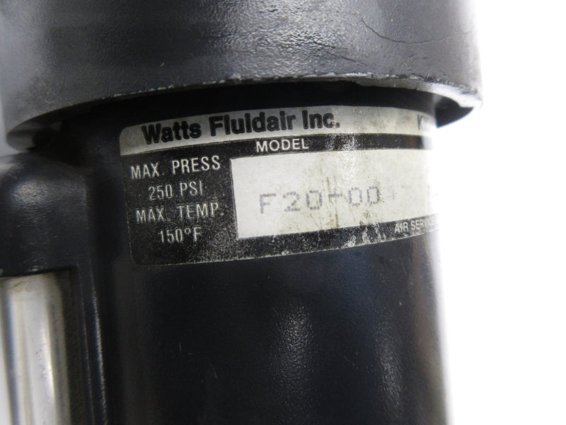 WATTS F20-00 250PSI NSNP