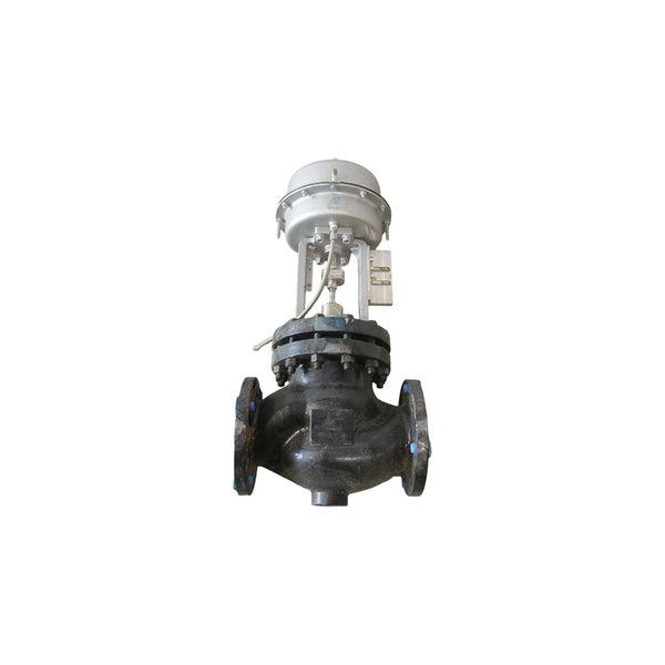 ARMSTRONG CV1500 4" 150RF 348-40  NSNP