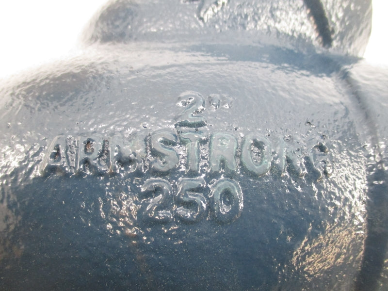 ARMSTRONG C4426-2 250 2" NSMP