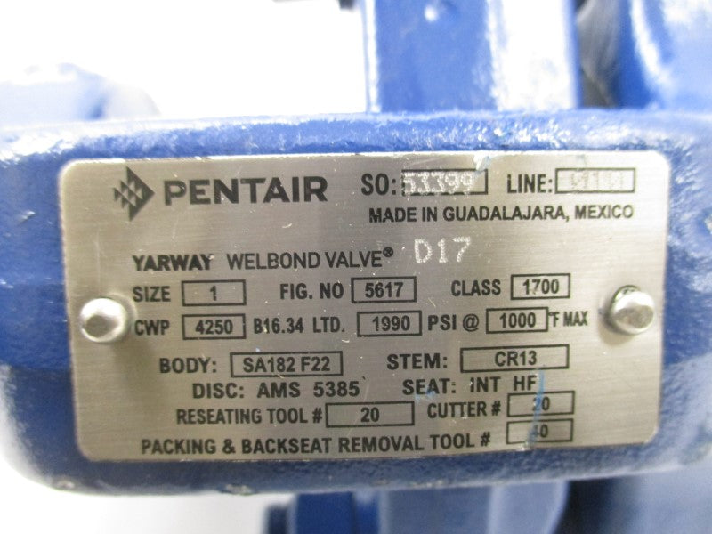 PENTAIR 5617 SA182F22 1990PSI 1" NSNP