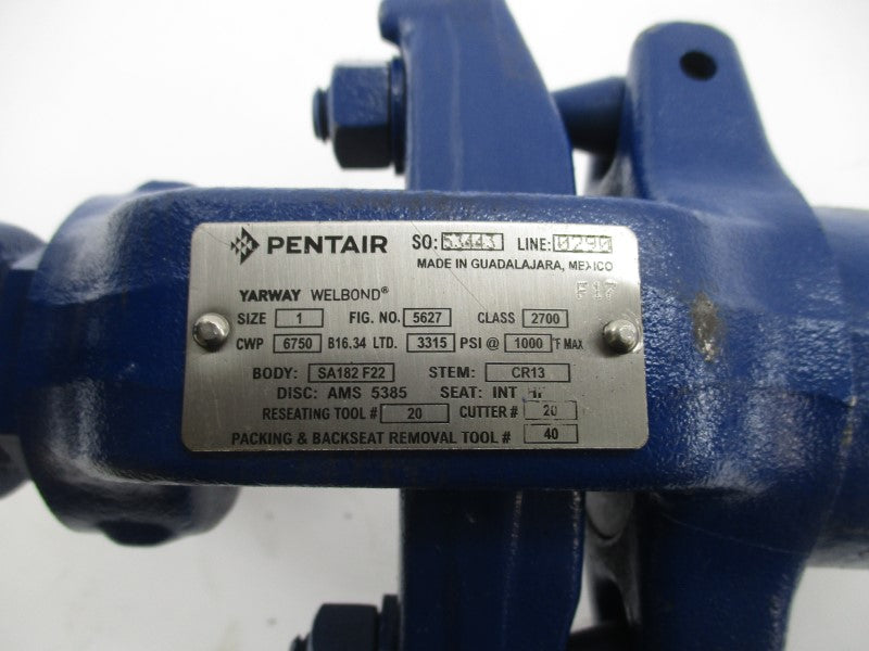 PENTAIR 5627 SA182F22 3315PSI 1" NSNP