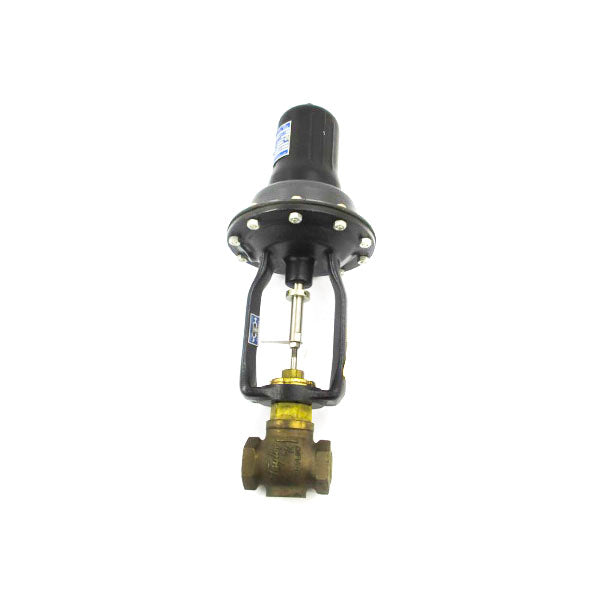 W.E. ANDERSON KC43617 3-15PSI 3/4" NSNP