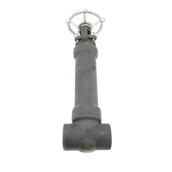 DIXON EAGLE API602CL800 1975PSI 2" NSNP