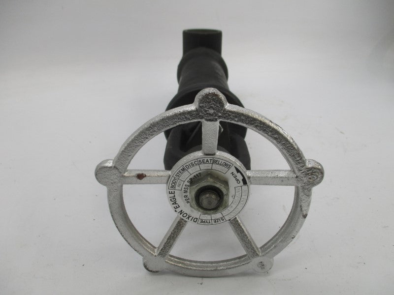 DIXON EAGLE API602C800 1975PSI 2" NSNP