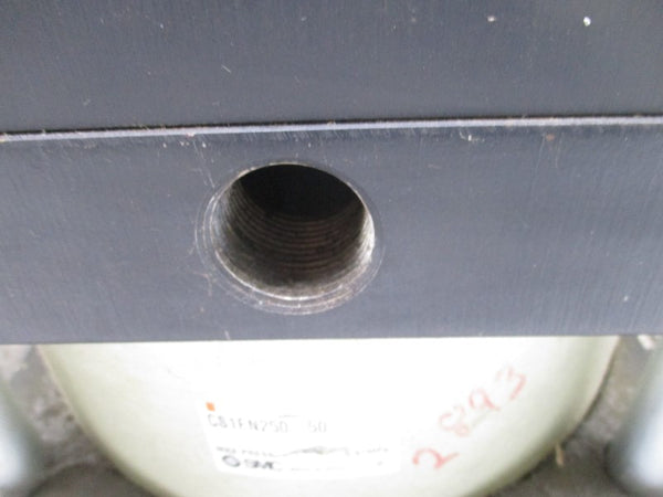 SMC CS1FN250-50 NSNP