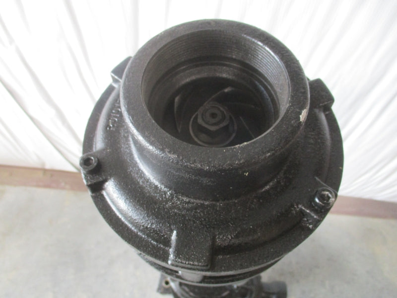 BRINKMANN PUMPS ZS132170-MF+001 230/460V  21.2/10.6A NSNP