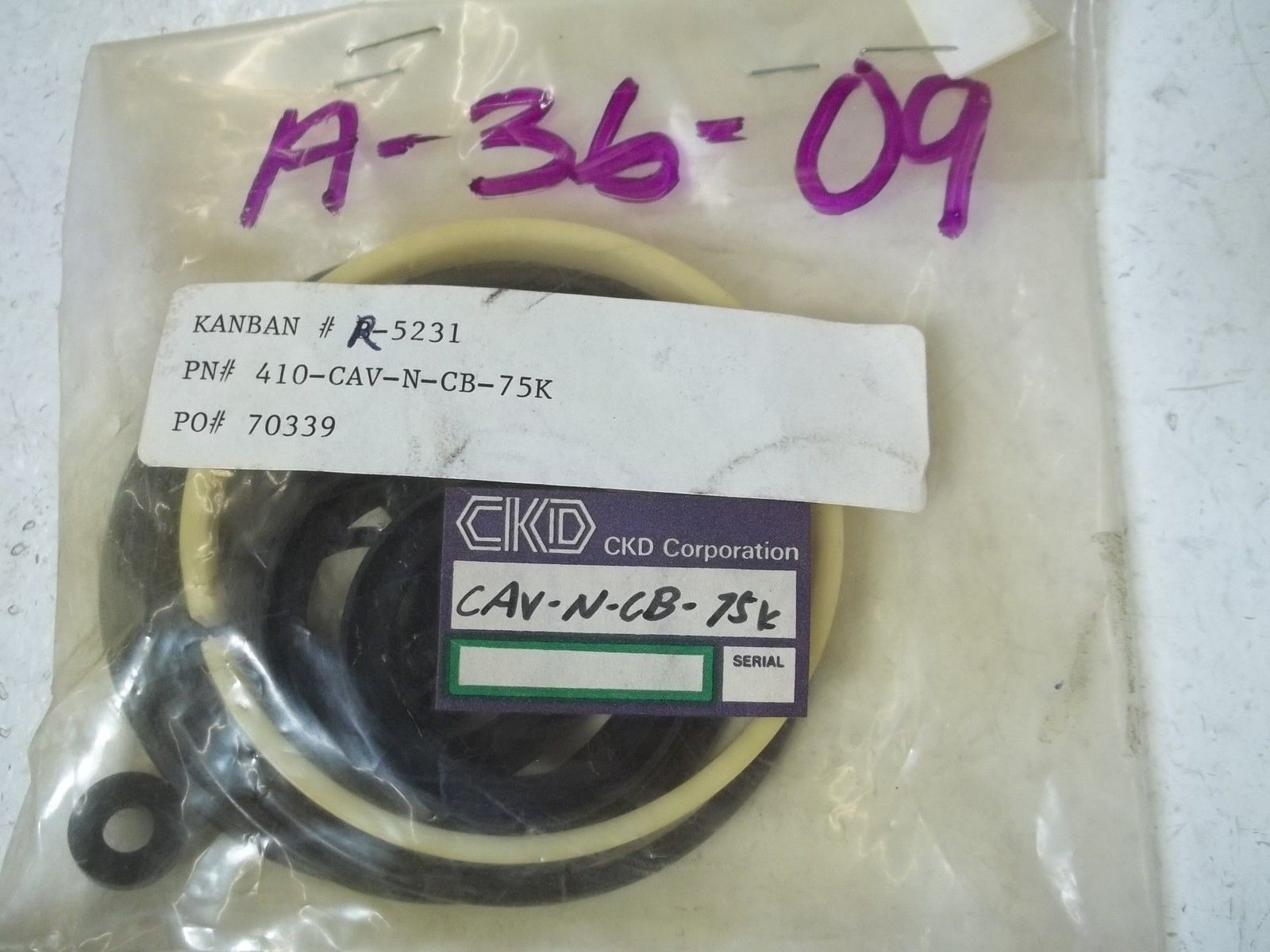 CKD CAV-N-CB-75K NSNP
