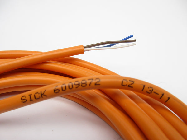 SICK 6009872 300V NSNP