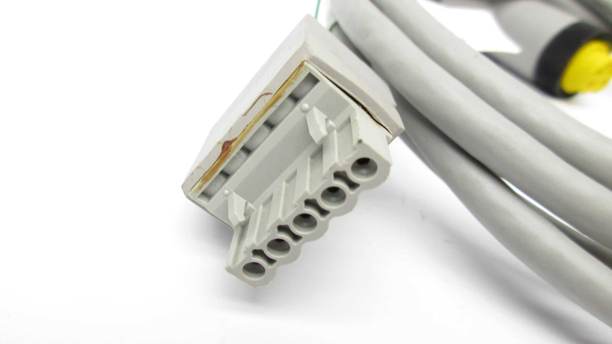 LUMBERG AUTOMATION TAP50-MSTB/6FT NSNP