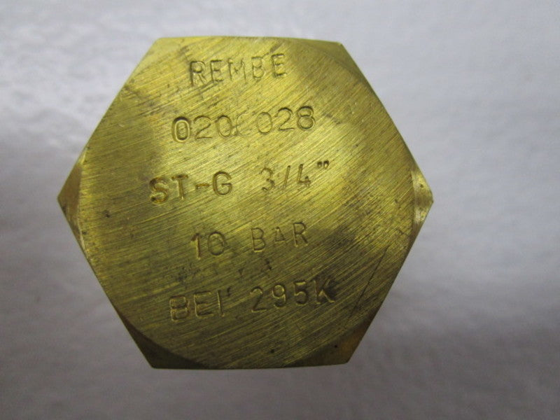 REMBE ST-G BURSTING DISKS 3/4"   NSNP