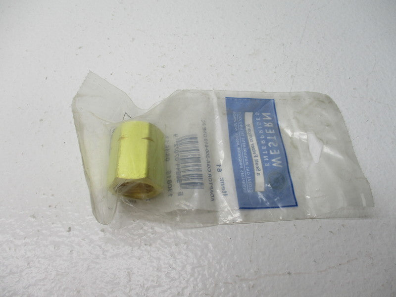 WESTERN ENTERPRISES 61 CGA-300-510-ONEPC NSMP