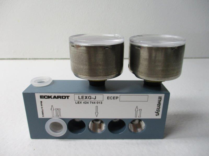 ECKARDT LEXG-J 424744013 NSMP