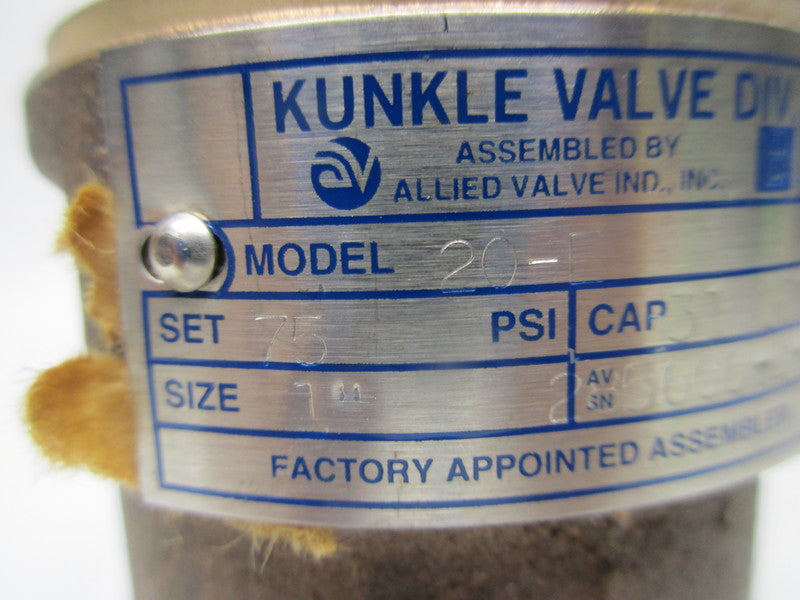 KUNKLE VALVE 20-F  NSNP