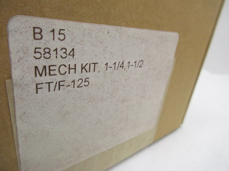 SPIRAX SARCO 58134 STEAM TRAP KIT FT/F-125  NSFS