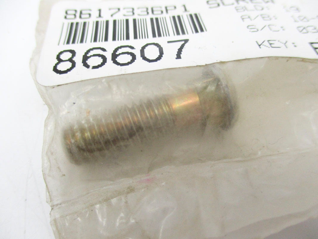 SCREW 8617336P1 86607 NSMP