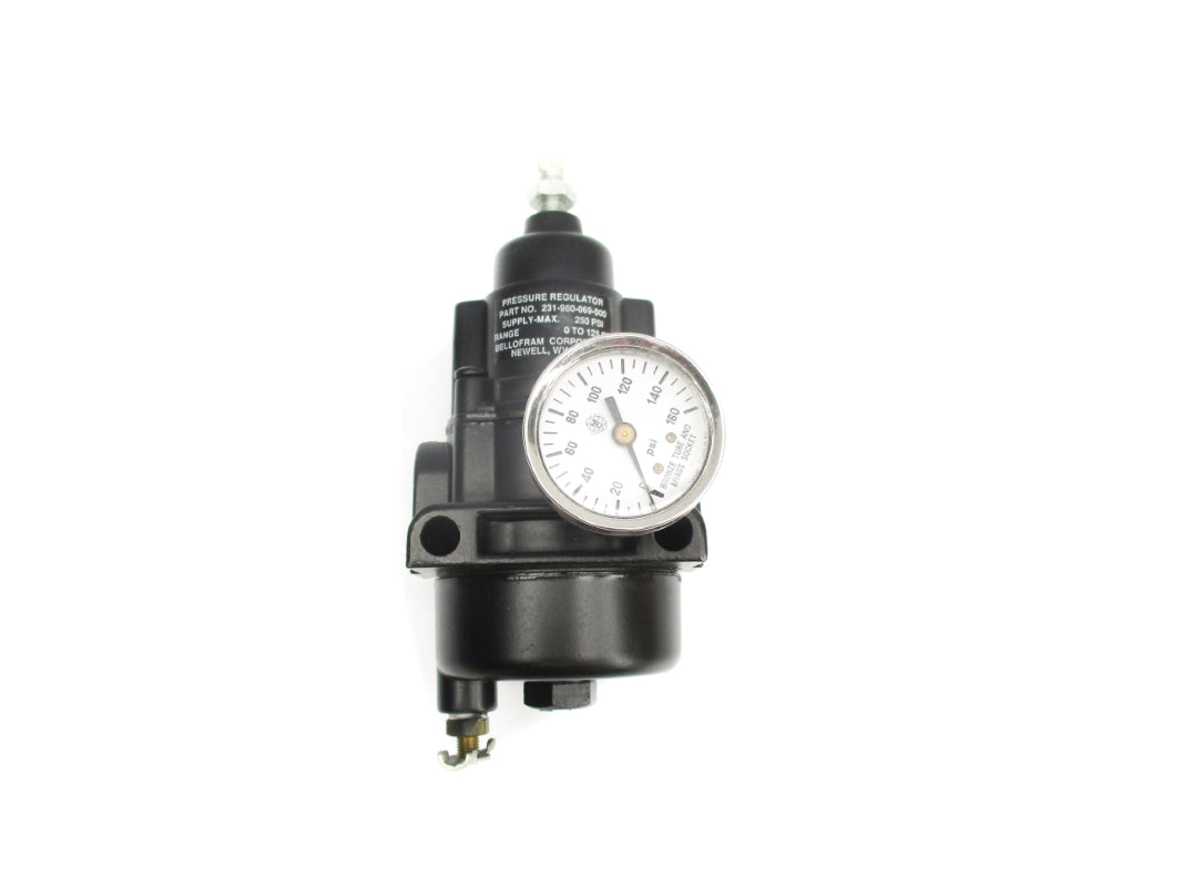 REGULATOR 231-960-069-000 0-125PSI NSNP