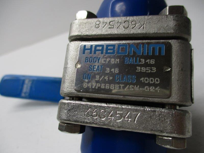 HABONIM CF8M Q47P6666T/BW-G24 3/4" NSNP