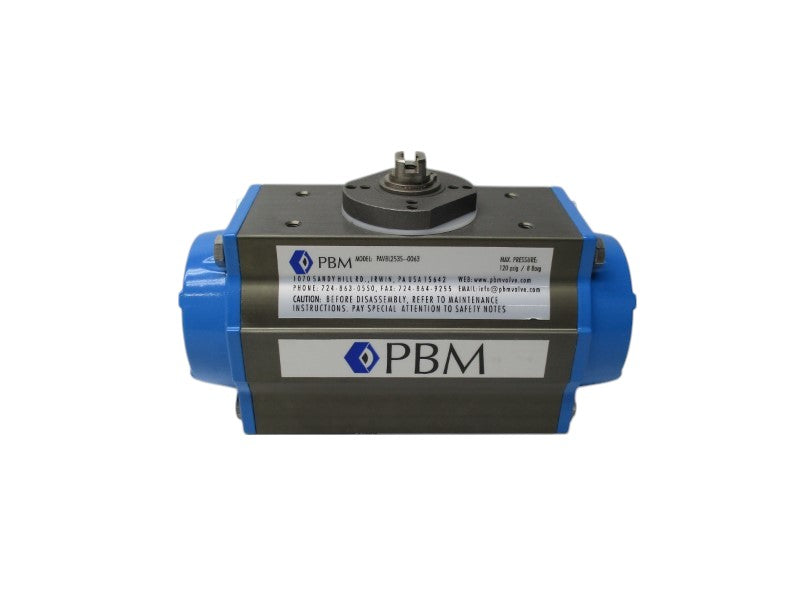 PBM PAVBL253S--0063  NSNP