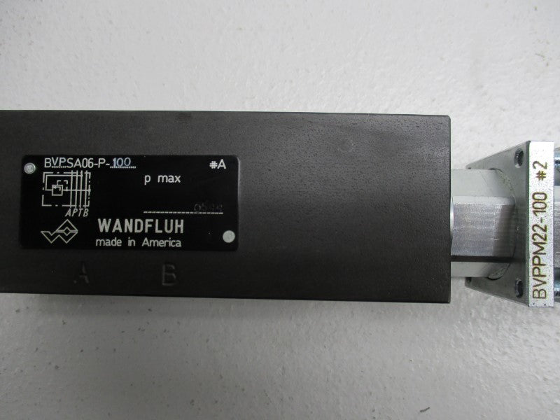 WANDFLUH BVPSA06-P-100 W/ BVPPM22-100  NSNP
