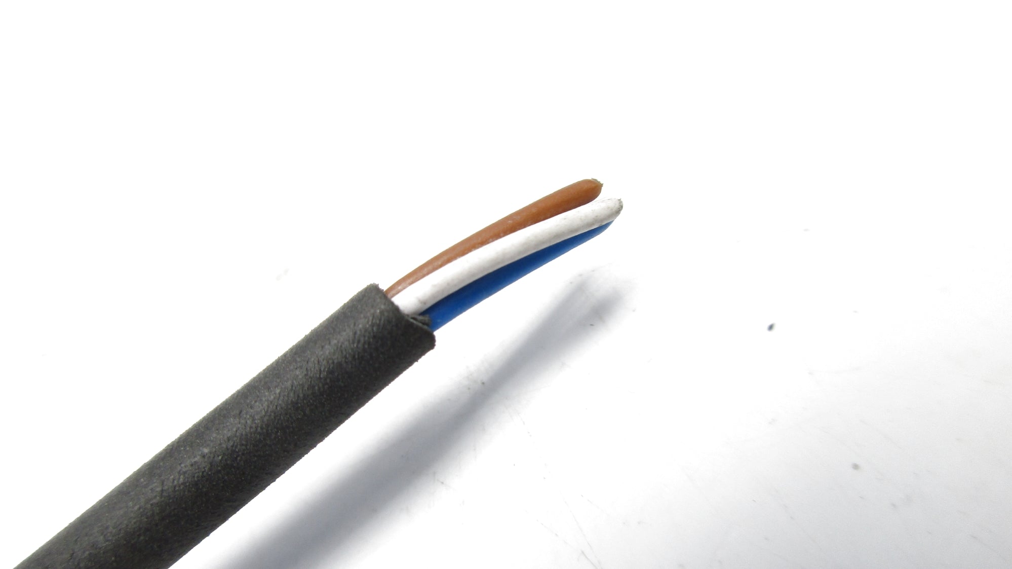 CABLE E238831 NSNP