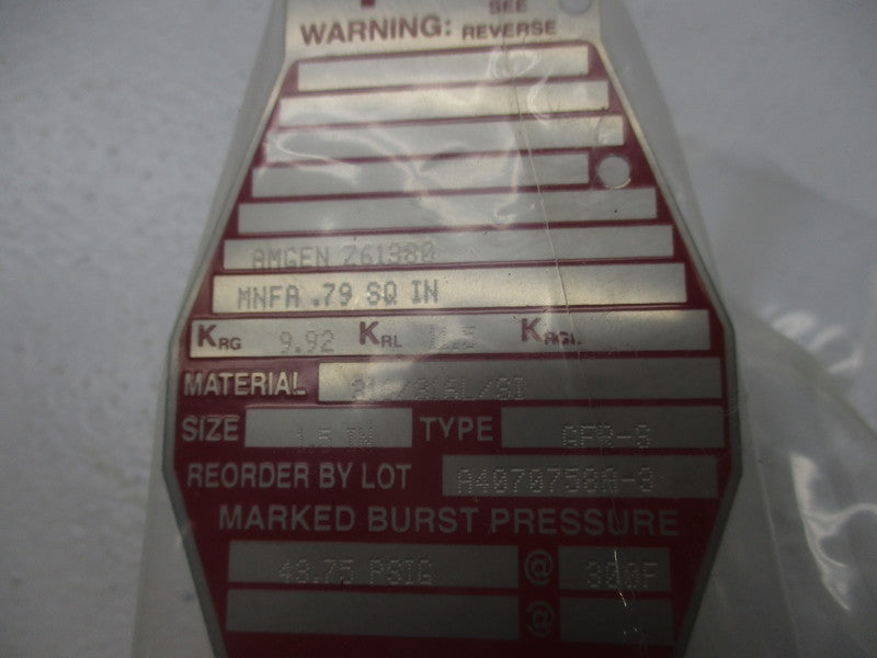 BS&B SAFETY SYSTEMS TYPE GFR-S A4070758A-3   NSMP