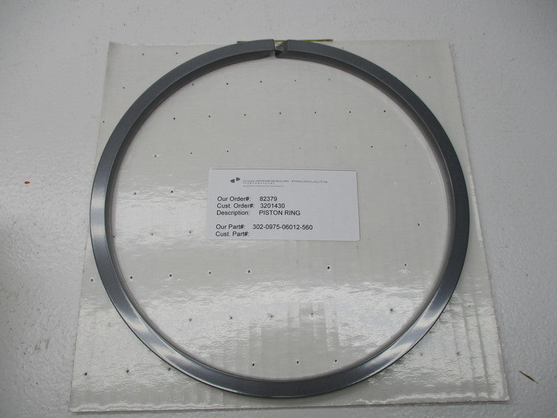 CPI 302-0975-06012-560  NSMP