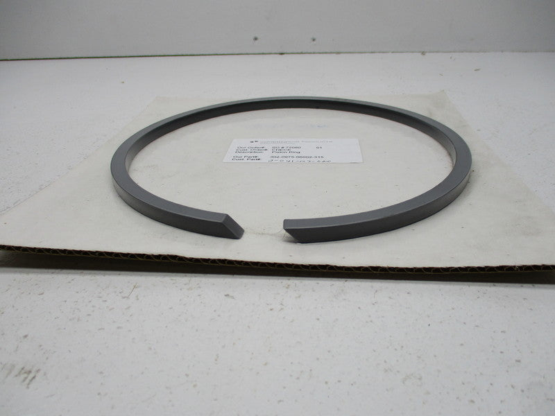 CPI 302-0975-06002-315  NSMP