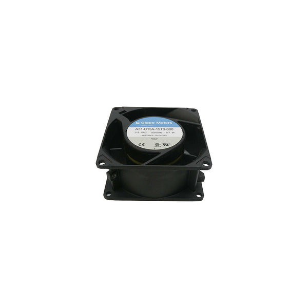GLOBE MOTORS A31-B15A-15T3-000 115VAC NSNP