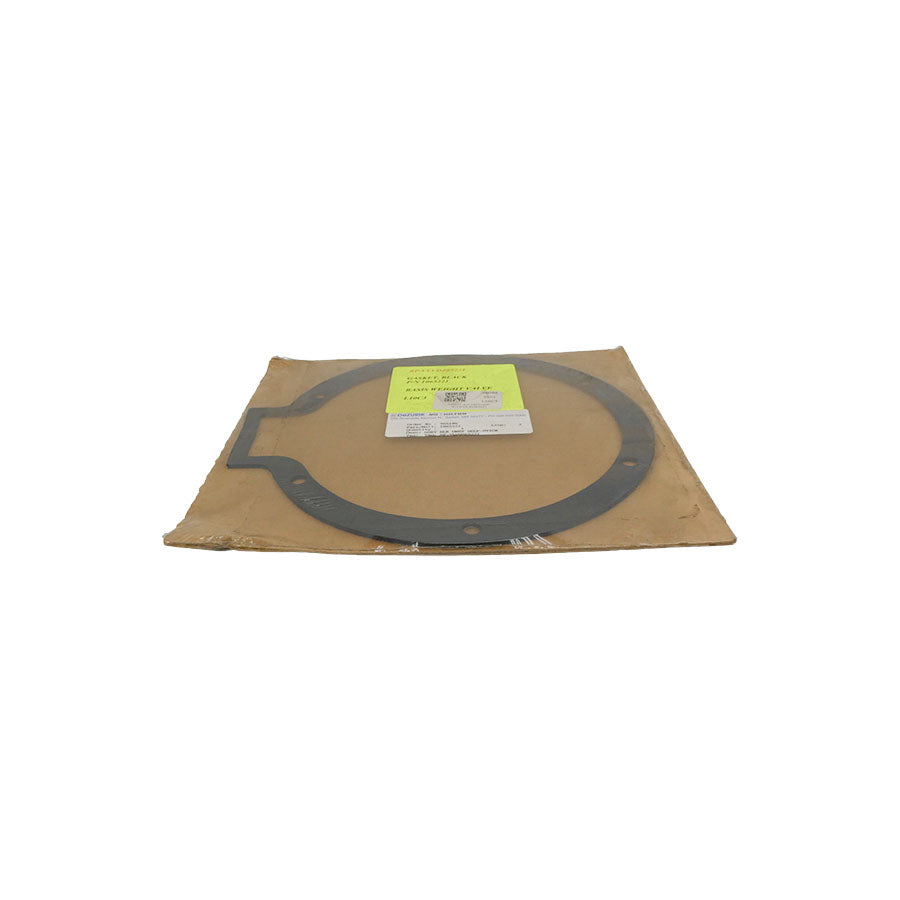 DEZURIK 1065221 NSMP