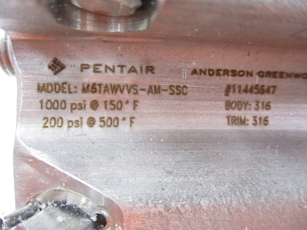 PENTAIR M6TAWVVS-AM-SSC 1000PSI NSMP