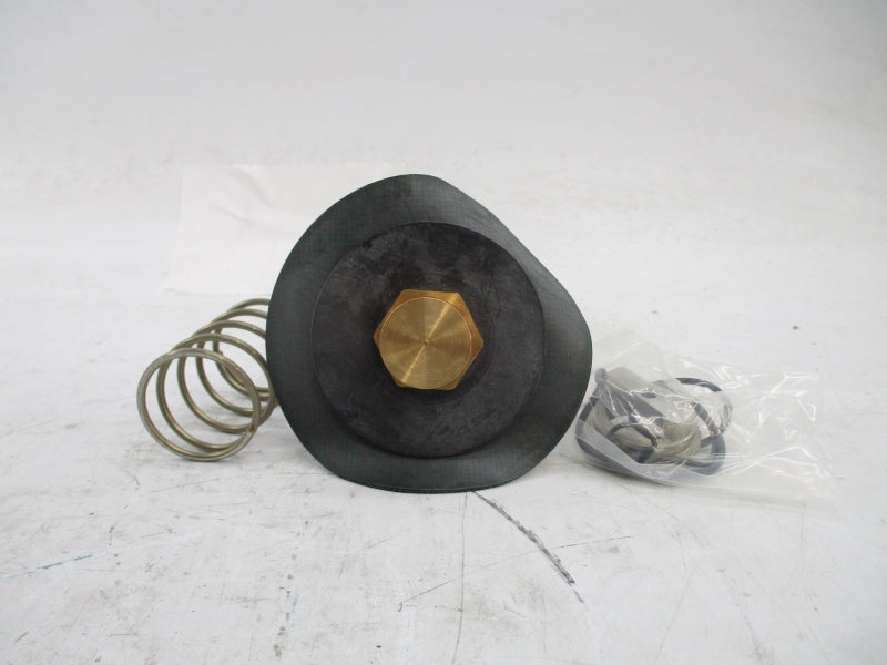 WATTS RK009-VT 1 1/4-2" NSMP