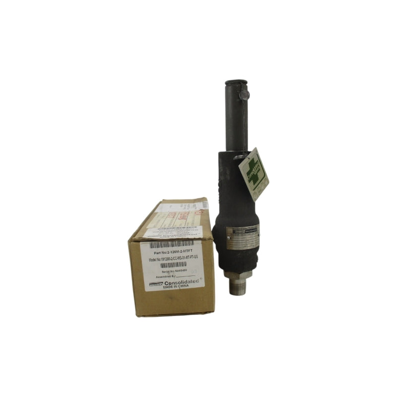 DRESSER 2-126M-2-MTFT 19126M-2MCCMS-31-MT-FT-GS 300PSI NSMP