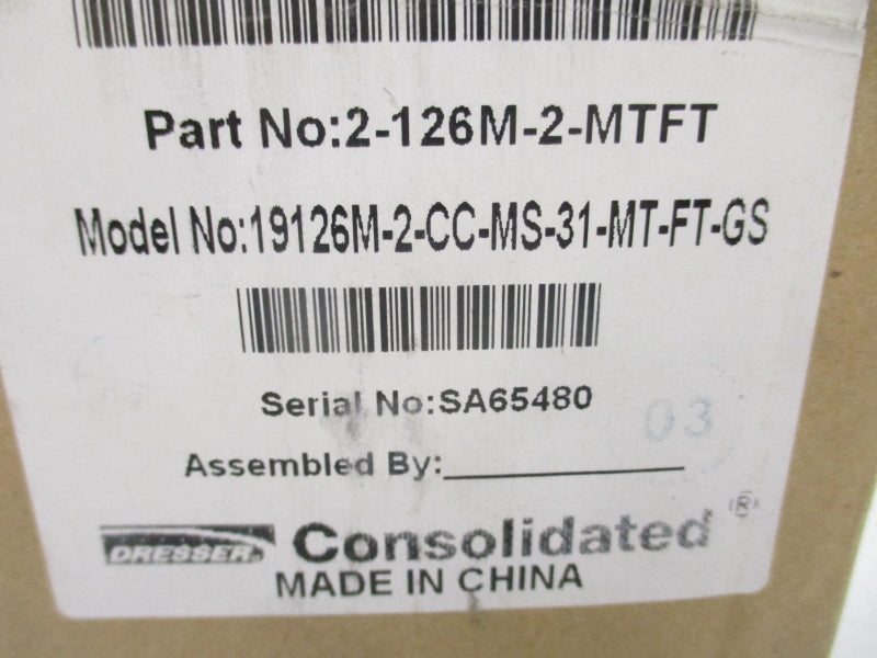 DRESSER 2-126M-2-MTFT 19126M-2MCCMS-31-MT-FT-GS 300PSI NSMP