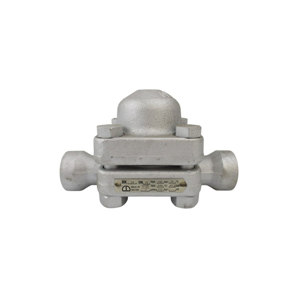 GESTRA BK29DN25 1" NSNP