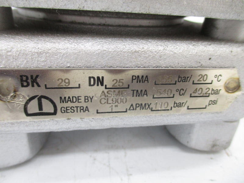 GESTRA BK29DN25 1" NSNP