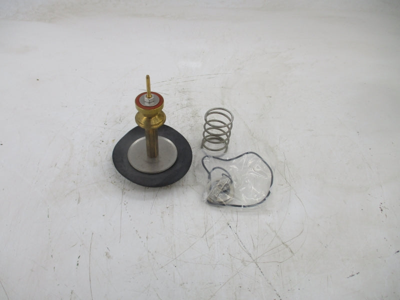 WATTS RK009M1-VT 1-1/4-2" NSMP