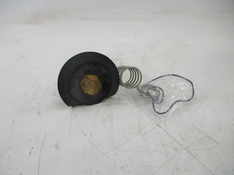 WATTS RK009M1-VT 1-1/4-2" NSMP