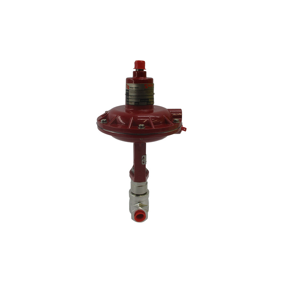 BADGER METER 1002GCN36SV0SCEP36 NSNP