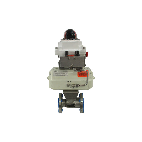 FLOWSERVE F5196666PTP-Z150-CM5162 R0 1" UNMP