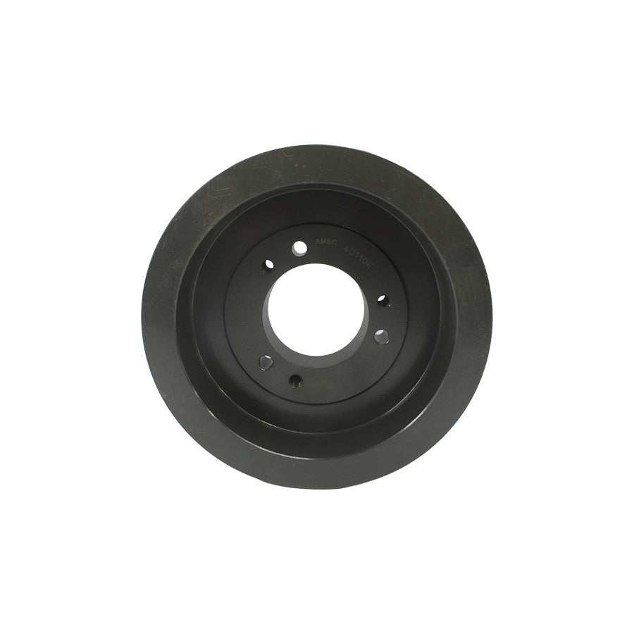 AMEC 4C110E NSNP