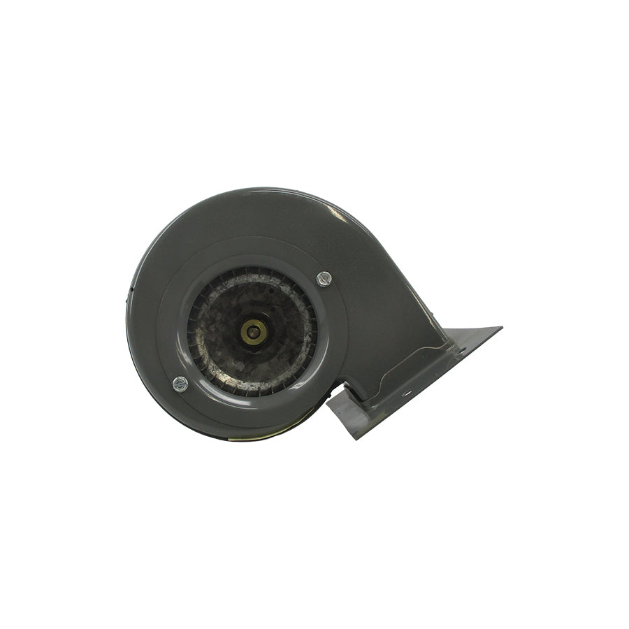 DAYTON 4C442 115V 1.16/1.02A NSNP