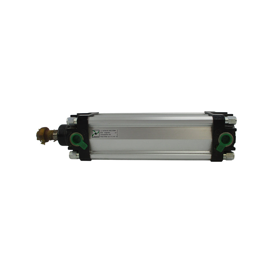 PNEUMAX 1319.63.100.01M  NSNP