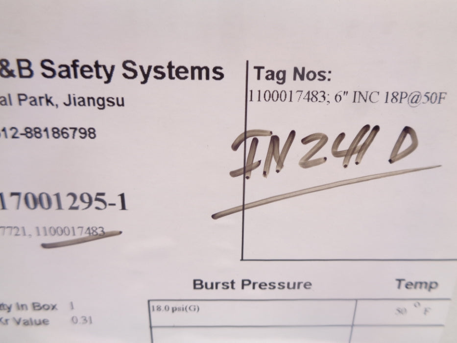 BS&B JRS 1100017483 18PSI 6" NSMP