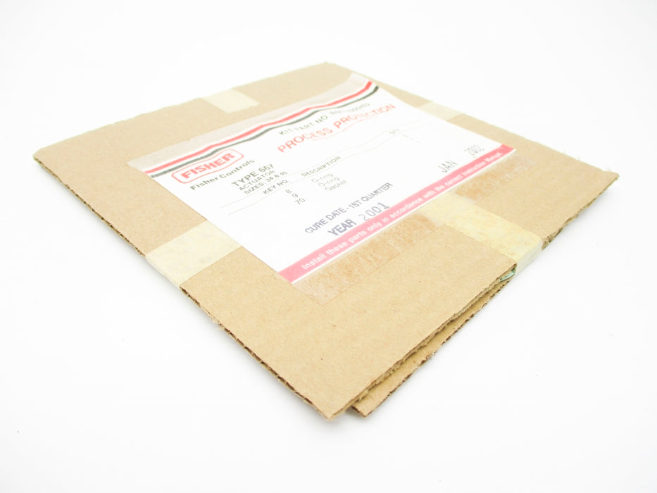 FISHER R667X000402 NSFS
