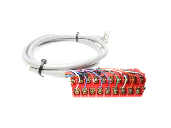 ALLEN BRADLEY 1492-CABLE10C SER. B (BR/YL) NSMP